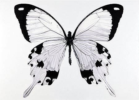 Nir Hod : Butterfly (I Miss U)