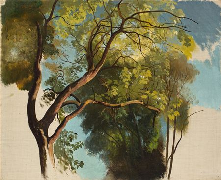 Carl Maria Nicolaus Hummel : Tree study from the park of Villa Carlotta