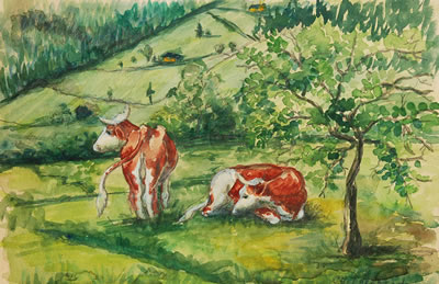 Karla Hejnova - Talabardon : Cattle Grazing