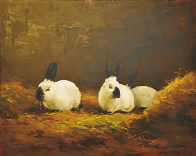 Fojtech Hynek Popelka : Rabbits