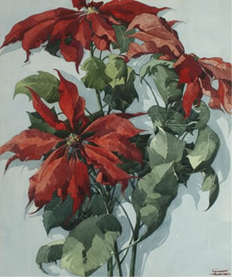 William Hazard : Poinsettias