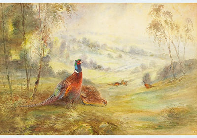 James Stinton : PHEASANTS IN A LANDSCAPE