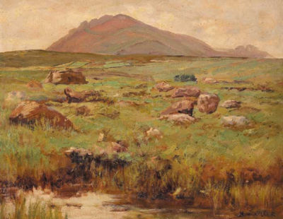 David Bond Walker : ERRISBEG SEEN FROM ROUNDSTONE BOG, CONNEMARA