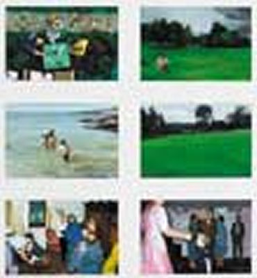 Peter FitzGerald : ADELHEIDSTR. 10: R,A,B; CHILD AND FIELD; MAYO SEA; FIELD; PARTY; WEDDING DANCE, 1995 (6 panels framed as one)