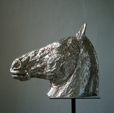 Monika Havlickova : Head of a horse