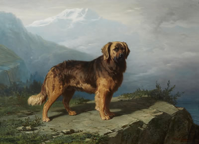 Conradyn Cunaeus : A Leonberger in an Alpine Setting