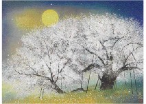 Keigo Kimura : Spring Night Cherry Blossoms