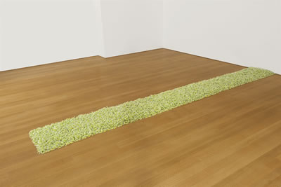 Felix Gonzalez-Torres