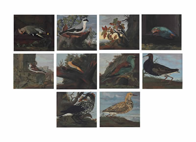 Johannes Bronckhorst : Studies of birds in landscape settings: A waxwing (Bombycilla); A common chaffinch (Fringilla coelebs); A great grey shrike (Lanius excubitor); A common kingfisher (Alcedo atthis); A house sparrow (Passer domesticus); A common redstart (Phoenicurus phoeni