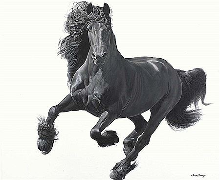 Lawrence Starkey : Running Free 2 - Black Friesian