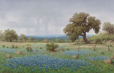 Don Warren : Bluebonnets in Texas Thunderstorm