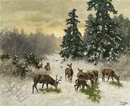 Josef Schmitzberger : Deer in the forest in winter