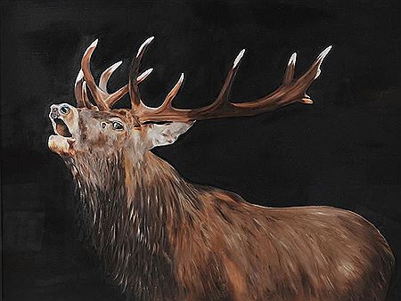 Michael Smyth : STAG