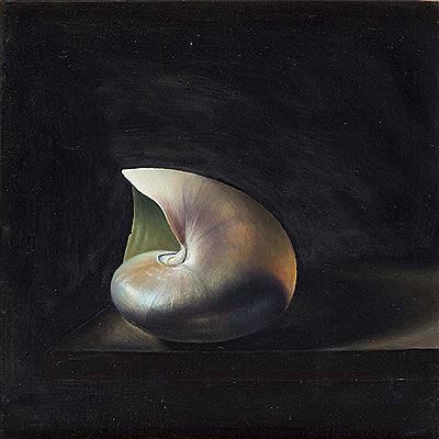 David Ross Warrillow : NAUTILUS