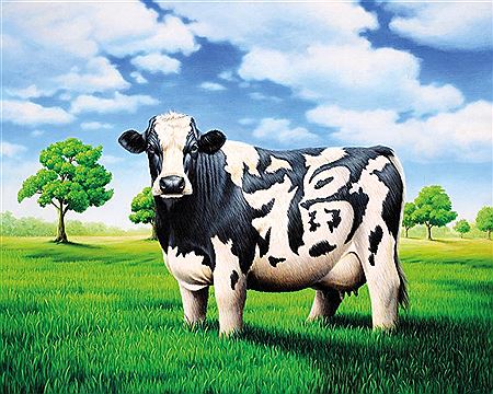 Syarief Hidayat : The Lucky Cash Cow, 2012