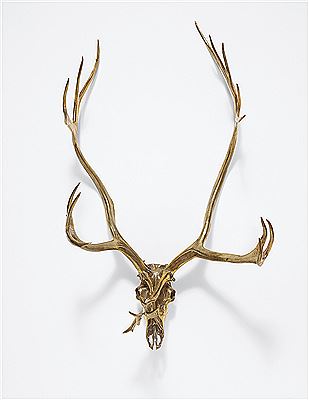 Sherrie Levine : Caribou Skull, 2006