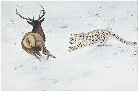 Lennart Sand : Snöleopard och maralhjort