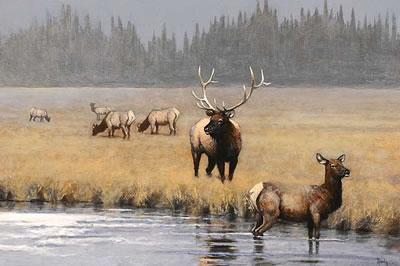 Thomas Aquinas Daly : Elk on a River