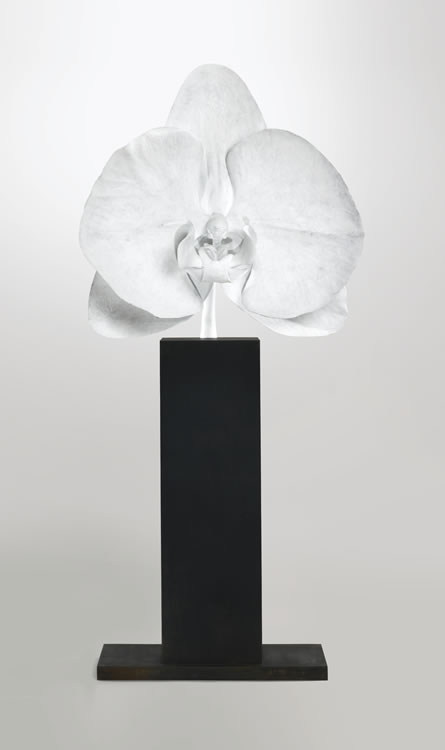 Marc Quinn : From Auction Records