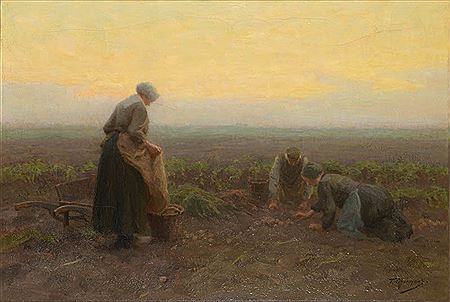 Tony Lodewyk George Offermans : Potato crop