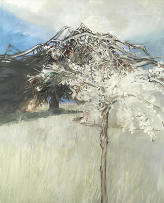 Edward Middleditch : Tree in Blossom, 1956