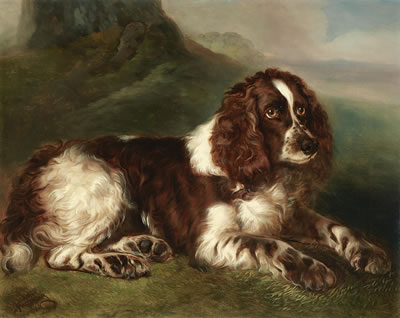 Walter Harrowing : A springer spaniel resting in a landscape