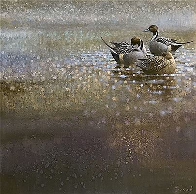 Ewoud de Groot : Three Pintails