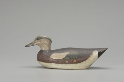 Thomas (Tom) Wilson : Wigeon Drake