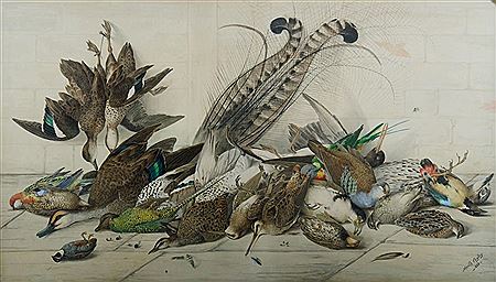 Neville Henry Peniston Cayley : Still Life - Australian Birds