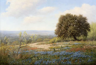 Don Warren : Texas Wild Flowers