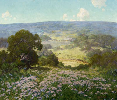 Peter Hohnstedt : Field of Sage Hill Country