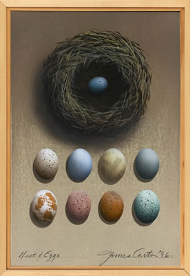 James Carter : Nest & Eggs