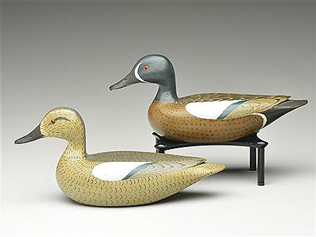 Reme Roussel : Pair of bluewing teal