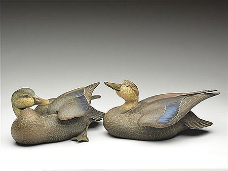 John S Scheeler : Important pair of black ducks