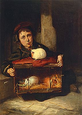 Robert James : Portrait of a boy with guinea pigs in a stable