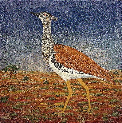 Esias Bosch : Kori Bustard